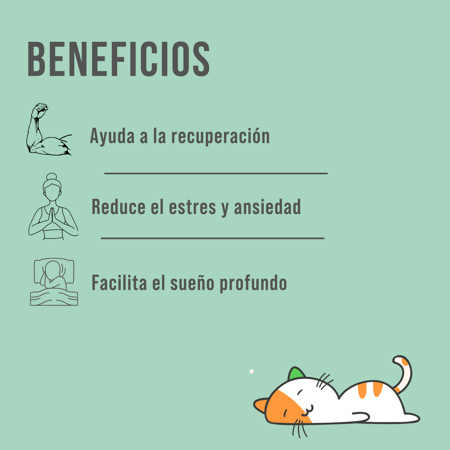 Zeen suplemento Reishi, GABA, 3 Magnesios, salud mental