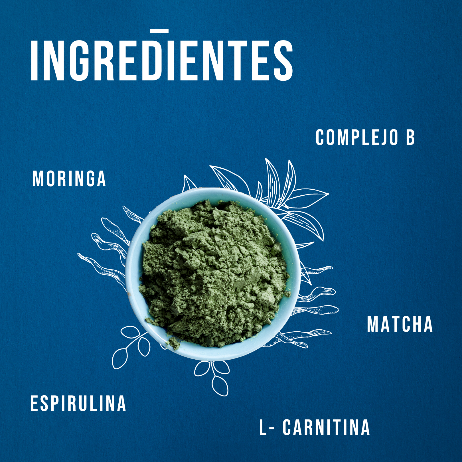 Taiso Bro Veganas con Matcha, Espirulina, Moringa, L-Carnitina, Complejo B. (Energía y reductor natural)