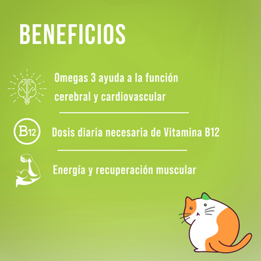 Bigan Bro veganas con chia, omega 3, alga espirulina, vitaminas, minerales y Vitamina B12