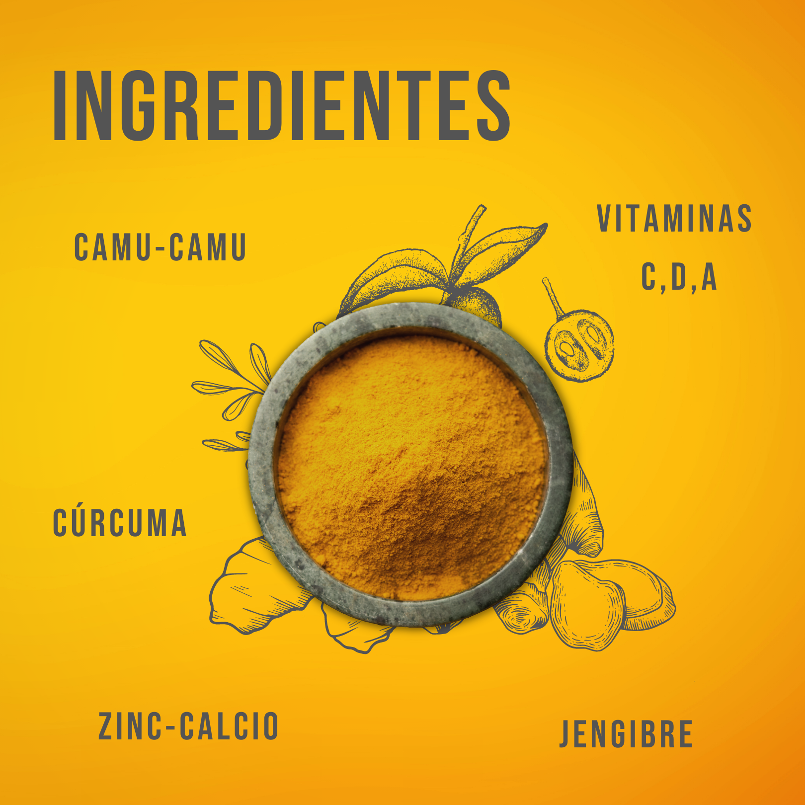 Kotai Bro Veganas con cúrcuma, jengibre, Camu-Camu y  Vitaminas (C,D,A) (sistema inmune y antioxidante)